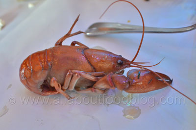 The Boil, Yabbies with Creole Butter Sauce