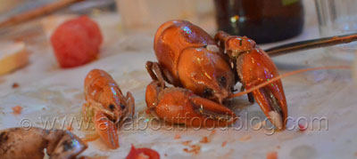 The Boil, Yabbies with Creole Butter sauce at House of Crabs