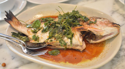  snapper came with saltbush and vinegar