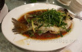 Live Perch with ginger and shallot - Golden Century