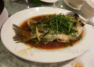 Live Perch with ginger and shallot - Golden Century